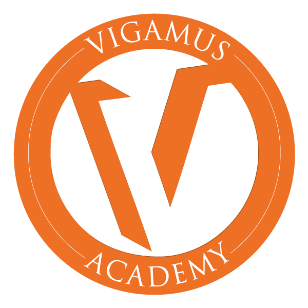 logo vigamus academy