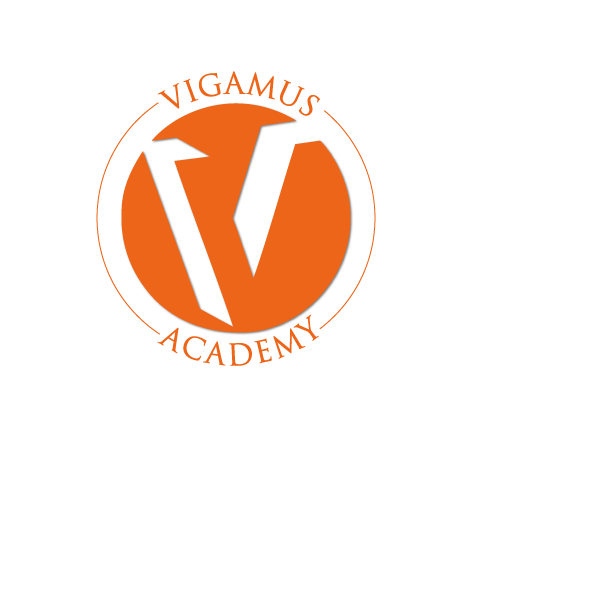 https://www.vigamusacademy.com/beta/wp-content/uploads/2019/11/vigamus-logo-academy.png